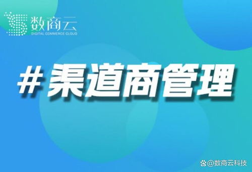 汽车零部件全球供应链协同 数商云渠道商管理系统赋能多层级跨国经销商网络与贸易代理